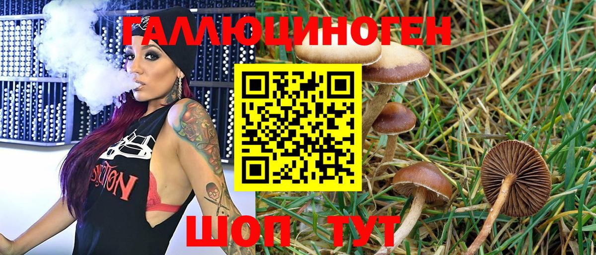 Псилоцибиновые грибы мицелий Троицк