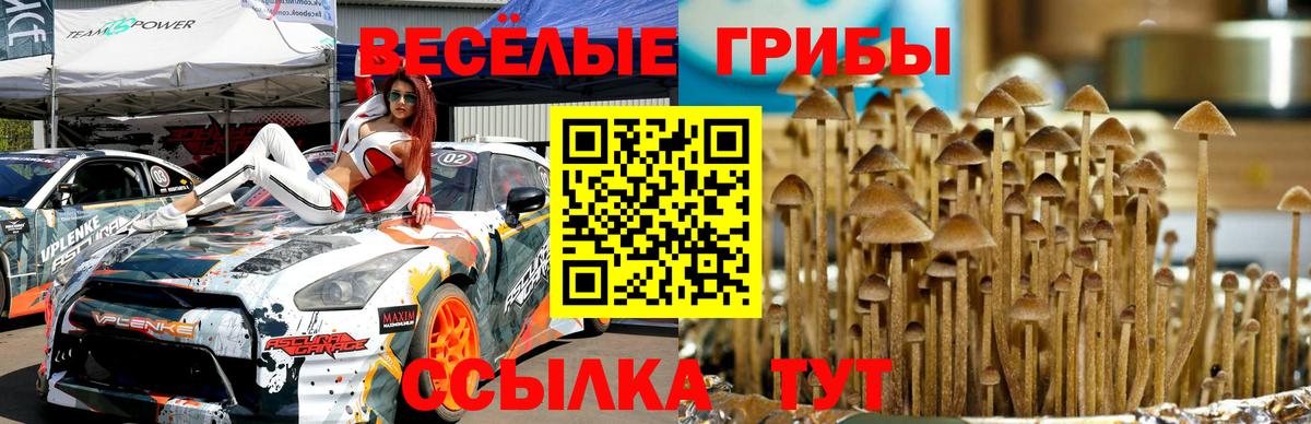 Галлюциногенные грибы прущие грибы  Вход с VPN  Галлюциногенные грибы Cubensis  Троицк 